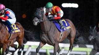 【大井・勝島王冠結果】キングストンボーイが連覇で重賞4勝目を挙げる