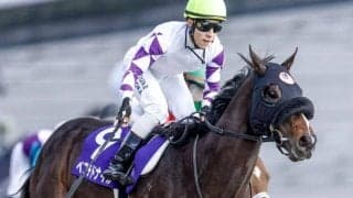 【チャンピオンズC予想】血統と戦歴が光る伏兵 AIが導いた“穴の一手”とは