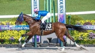 【チャンピオンズC展望】3歳馬ナルカミが世代交代を告げる