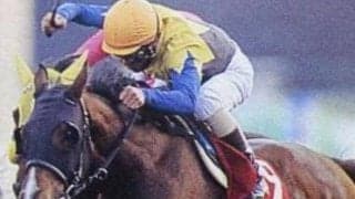 「抽せん馬」で最も賞金を獲得した馬 ホットシークレットが制したステイヤーズSを回想