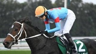 【チャンピオンズC枠順確定】ダブルハートボンドは1枠2番、ナルカミは6枠12番