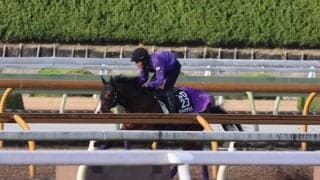 アドマイヤクワッズ、朝日杯FS2週前追い切り速報/栗東トレセンニュース