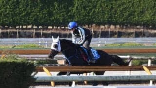 ネビーイーム、中山大障害追い切り速報/栗東トレセンニュース