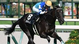 【鳴尾記念出走馬・騎手確定】グランヴィノス＆川田将雅騎手、オールナット＆北村友一騎手など14頭