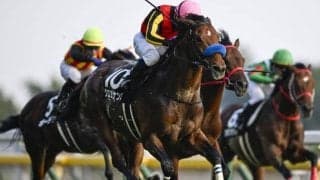 【ステイヤーズS出走馬・騎手確定】クロミナンス＆C.ルメール騎手、ホーエリート＆戸崎圭太騎手など14頭