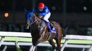 【チャンピオンズC・調教後馬体重】ナルカミは517kg、ダブルハートボンドは482kg