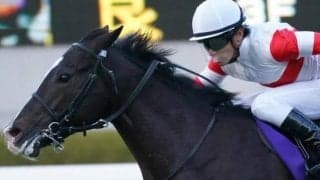 半兄は2歳王者 「ウマ娘」藤田晋オーナーのドンテスタマスターがデビュー