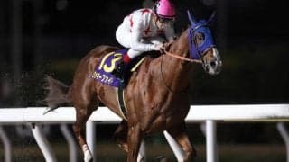 【芝とダートの総決算】有馬記念＆東京大賞典の注目馬を血統から探る！