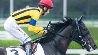 半兄はGI・4勝のジャンタルマンタル ウンナターシャが今度こそ初勝利なるか