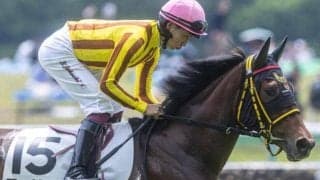 【市川S】ダート転向後は4戦3勝 ファリーザがオープン入り狙う