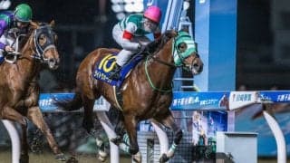 【地方競馬】ライトウォーリアが引退