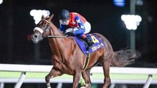 【大井・ジェムストーン賞結果】8番人気ベイビークエストが連勝で重賞初制覇 3連単74万1140円の大波乱