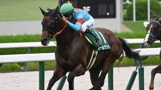 【鳴尾記念枠順確定】オールナットは8枠14番、グランヴィノスは8枠13番