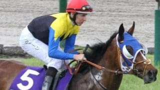 【ステイヤーズS】古豪チャックネイトが約半年ぶりの復帰戦 GII・2勝目なるか