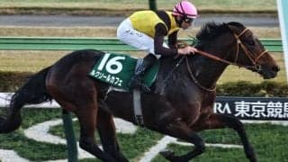 【チャンピオンズC】武蔵野S覇者のルクソールカフェ 史上初のJRAダートGIきょうだい制覇なるか