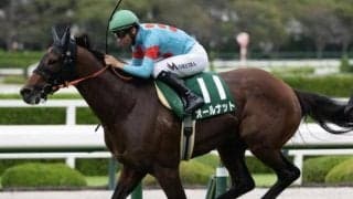 【鳴尾記念】半姉はGI・2勝のショウナンパンドラ オールナットが重賞連勝狙う