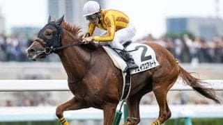 【中日新聞杯想定馬・騎手】シェイクユアハート、ファミリータイムなど16頭