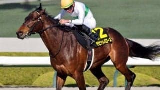 開幕阪神は絶好コンディション 鳴尾記念は舞台巧者のデビットバローズで勝負