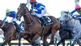 【ステイヤーズS予想】長距離戦は牡馬、セン馬の独壇場！ 苦戦傾向の牝馬に求められる好走条件とは