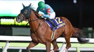 【カペラS想定馬・騎手】ヤマニンチェルキ、ガビーズシスターなど19頭