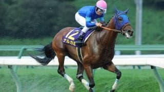 【チャンピオンズカップ】4連勝中ナルカミは517kg…出走馬の調教後の馬体重