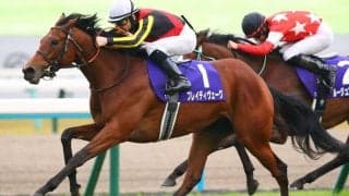 ブレイディヴェーグの登録抹消…ノーザンファーム繁殖入り