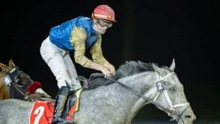 北米トップジョッキー・ジェルー騎手が短期免許取得…12月6日から日本参戦