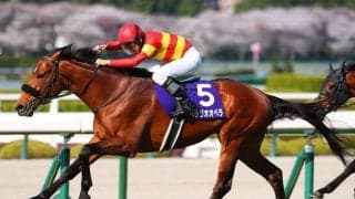【香港国際競走】べラジオオペラなど日本馬3頭が香港入り…シャティンで順調な初日調整へ