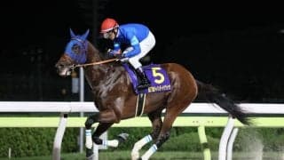 【チャンピオンズカップ】4連勝中ナルカミは6枠12番へ