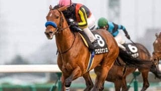 【今日の注目ポイント】中山でステイヤーズSと阪神で鳴尾記念