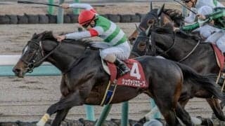 ステイヤーズSは枠順に偏りなし 血統傾向に要注目