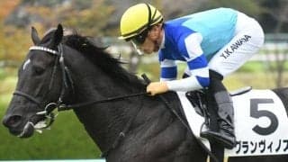 【鳴尾記念予想】鳴尾競馬場に由来の歴史ある一戦 今年から12月開催＆芝1800m戦に変更