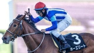 【ステイヤーズS予想】中山の名物重賞 芝3600mのスタミナ勝負を制すのは