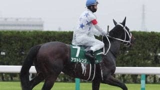 【競馬予想】「荒れる」チャンピオンズカップ　舞台合う実力馬２頭でビッグボーナスをゲットせよ