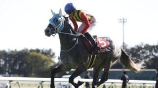 ステイヤーズSはスタミナ豊富な2頭に注目