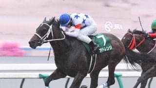【競馬予想】混戦模様のチャンピオンズＣで注目すべき、キングマンボとキズナの血　クロスも含めて徹底チェック