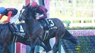 【さざんか賞結果】フォーゲルが人気に応えて2連勝