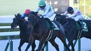 【鳴尾記念結果】デビットバローズが抜け出し重賞初V 岩田望来騎手は連覇達成