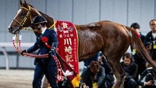 中京ダートは意外に差し優勢 メイショウハリオ＆武豊騎手に期待だ