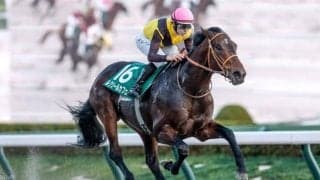【チャンピオンズC予想】前走で積極的な競馬を経験しているのはマイナス!? 重賞馬でも軽視したい一頭とは