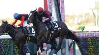 【さざんか賞】アルアイン産駒フォーゲルが2連勝