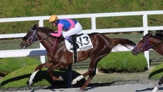 【阪神8R】武豊メイショウツヨキが波乱を演出…10番人気の伏兵