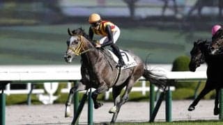 【新馬/阪神5R】エルハーベンがデビュー勝ち…半姉はリリーノーブル