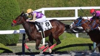 【新馬/阪神6R】外国産エルルがデビューV…ヤウポン産駒