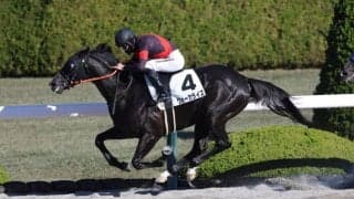 【阪神2R】ヴォーカライズが人気に応えて逃げ切る