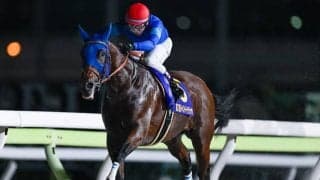 【チャンピオンズC前日オッズ】ナルカミが2.4倍で1番人気