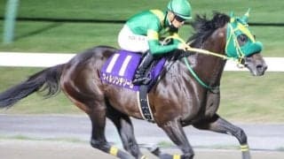 霜降り明星・粗品はウィルソンテソーロが本命 チャンピオンズCは3連複で勝負だ