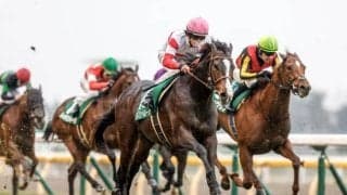 22年の共同通信杯を制したダノンベルーガが登録抹消 東京競馬場で乗馬に