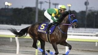 【チャンピオンズC予想】下半期のJRAダート王者決定戦 外枠の逃げ・先行馬にはタフなコース形態