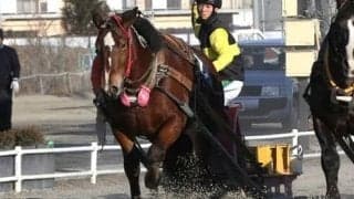 【ばんえい十勝】新人騎手が初騎乗…阿部優哉騎手、臼杵龍美騎手、吉田理人騎手コメント